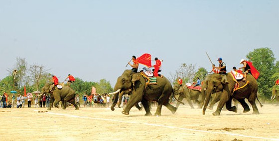 Độc đáo đua voi Buôn Đôn ảnh 4